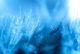 La Plume Sociale, Fondatrice