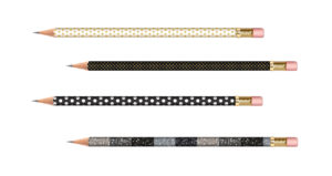 aide à l'écriture, La Plume Sociale, biographie